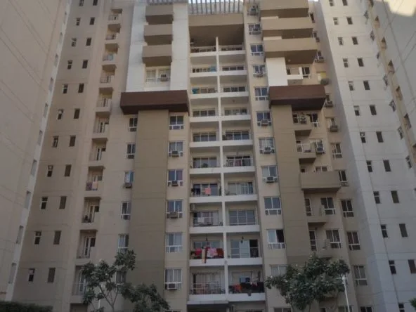 3c-lotus-boulevard-society