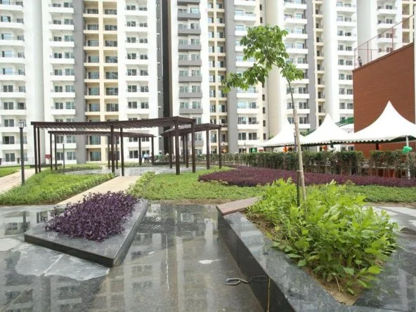 cherry-county-green-area