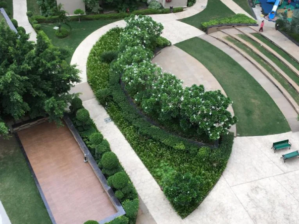 ajnara-daffodil-garden2