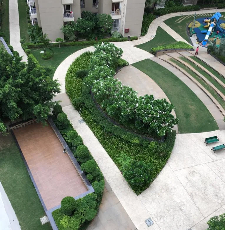 ajnara-daffodil-garden2