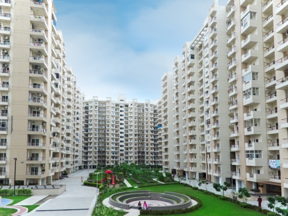 Gulshan-Vivante