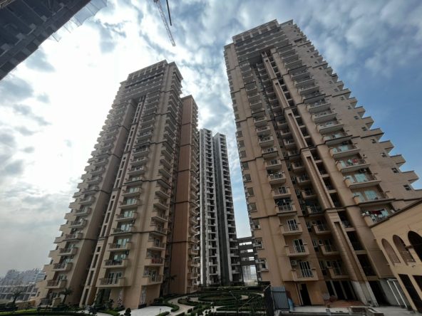 dev-sai-sportshome-society