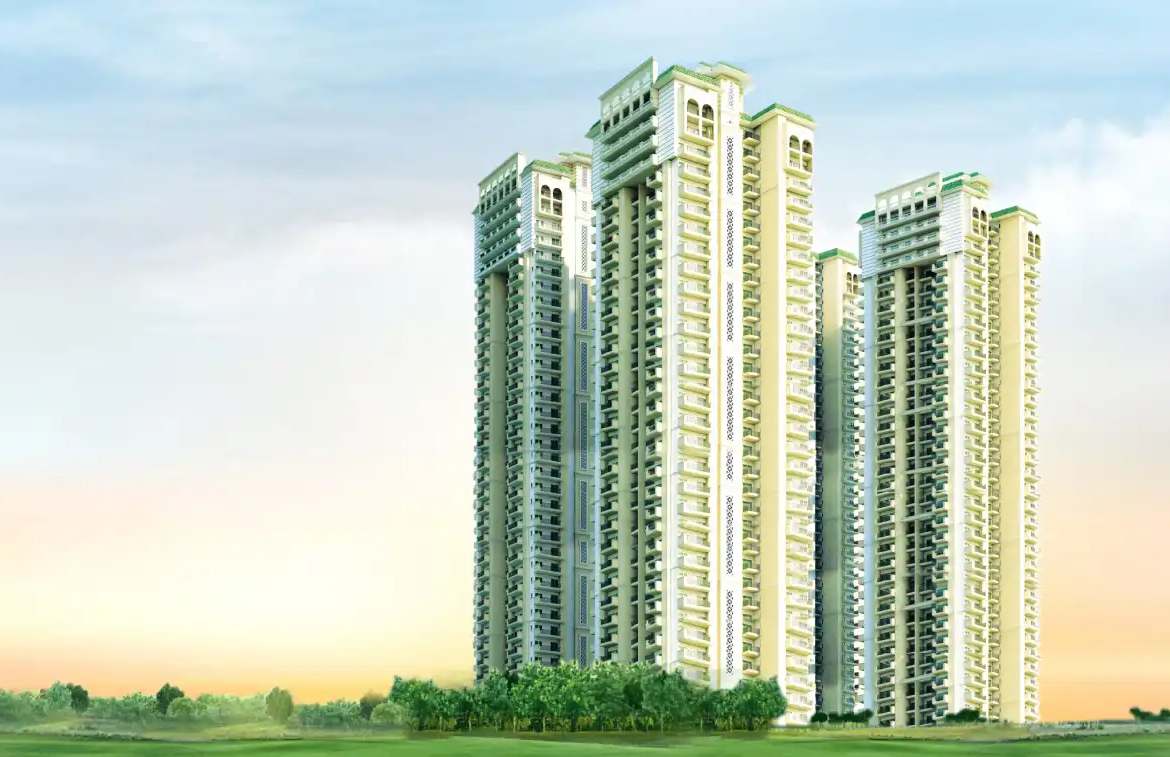 dev-sai-sportshome-view