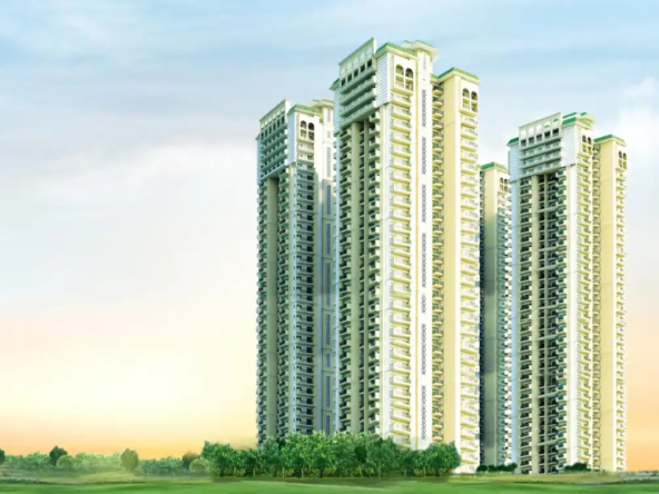 dev-sai-sportshome-view